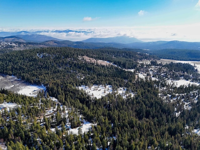 35XX Mountain View Rd, Chewelah, WA 99109