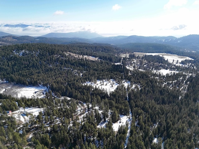 35XX Mountain View Rd, Chewelah, WA 99109