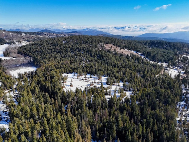 35XX Mountain View Rd, Chewelah, WA 99109