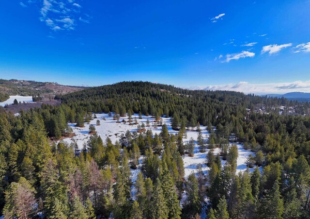 35XX Mountain View Rd, Chewelah, WA 99109
