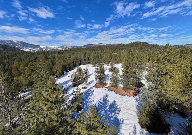 35XX Mountain View Rd, Chewelah, WA 99109