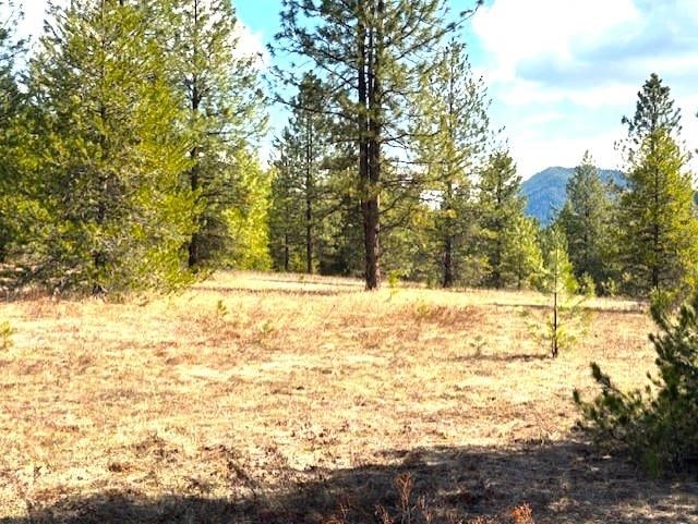 35XX Mountain View Rd, Chewelah, WA 99109