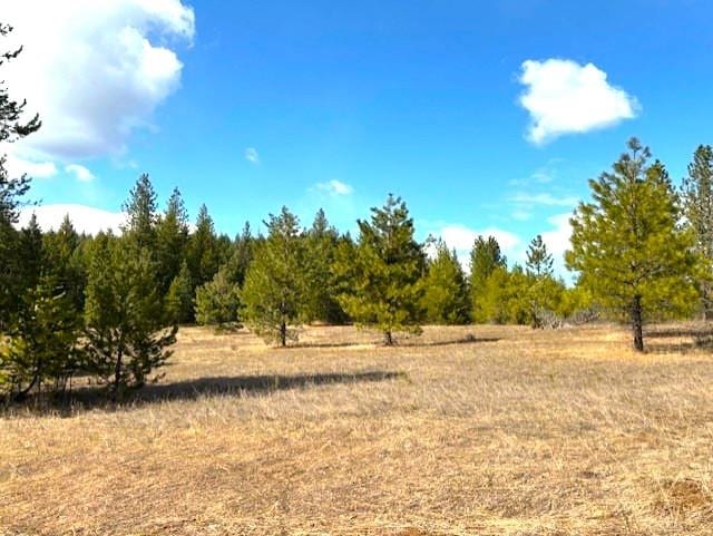 35XX Mountain View Rd, Chewelah, WA 99109