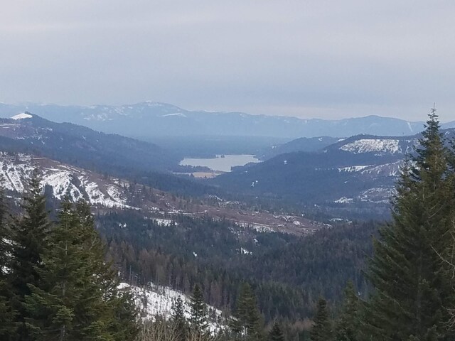mountain view with a forest view