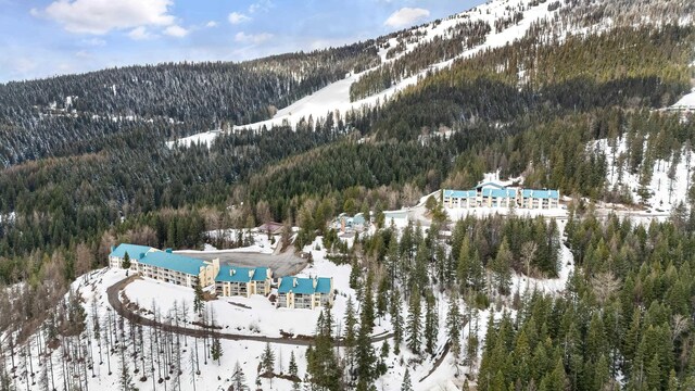 snowy aerial view with a mountain view and a view of trees