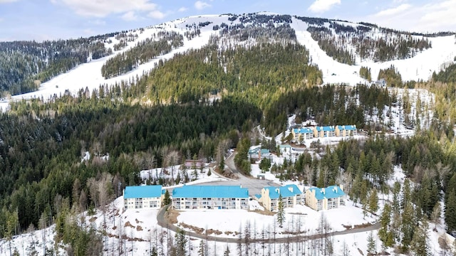 snowy aerial view featuring a forest view and a mountain view