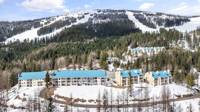 snowy aerial view featuring a mountain view