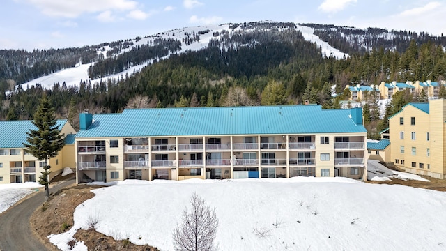 snowy aerial view featuring a mountain view and a forest view