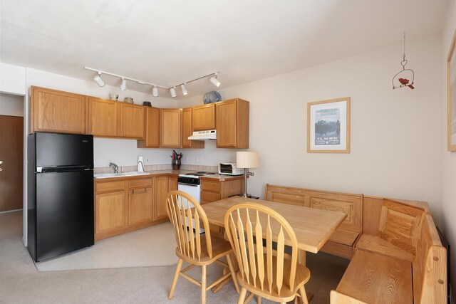 kitchen featuring white gas stove, light carpet, under cabinet range hood, a sink, and freestanding refrigerator