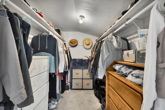 404 N Washington Ave, Newport, WA 99156 - walk in closet featuring carpet flooring and vaulted ceiling