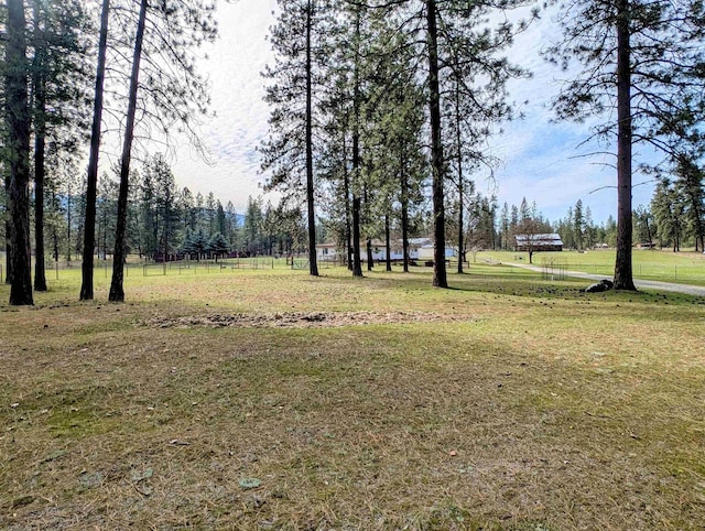 28 Enzyme Ln, Kettle Falls, WA 99141 - view of green lawn