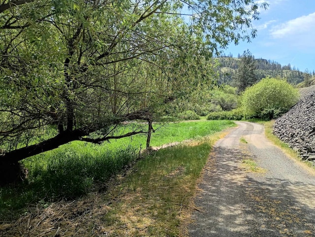 TRACT214 Hawk Creek Ranches Rd, Davenport, WA 99122