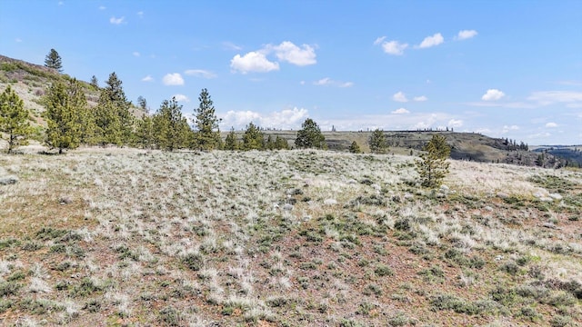 TRACT214 Hawk Creek Ranches Rd, Davenport, WA 99122