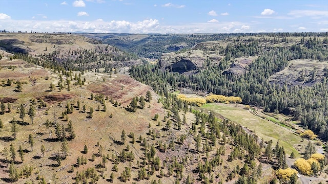 TRACT214 Hawk Creek Ranches Rd, Davenport, WA 99122