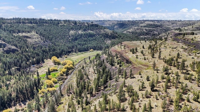 TRACT214 Hawk Creek Ranches Rd, Davenport, WA 99122