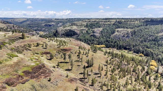 TRACT214 Hawk Creek Ranches Rd, Davenport, WA 99122