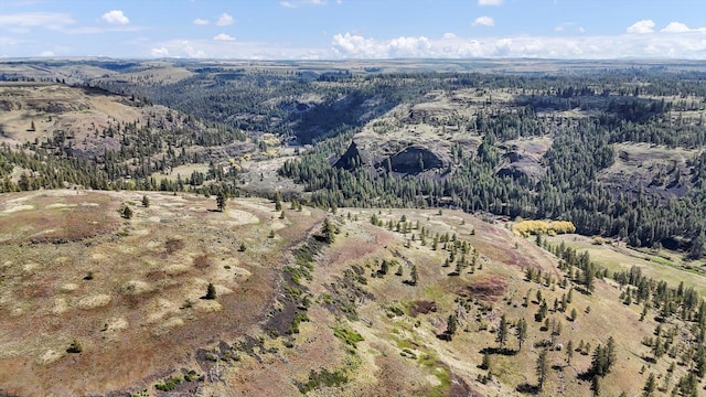 TRACT214 Hawk Creek Ranches Rd, Davenport, WA 99122