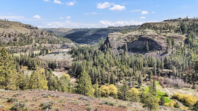 TRACT214 Hawk Creek Ranches Rd, Davenport, WA 99122