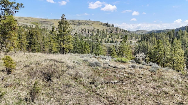 TRACT214 Hawk Creek Ranches Rd, Davenport, WA 99122