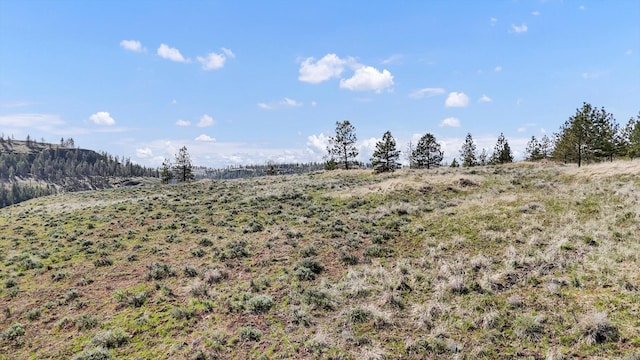 TRACT214 Hawk Creek Ranches Rd, Davenport, WA 99122