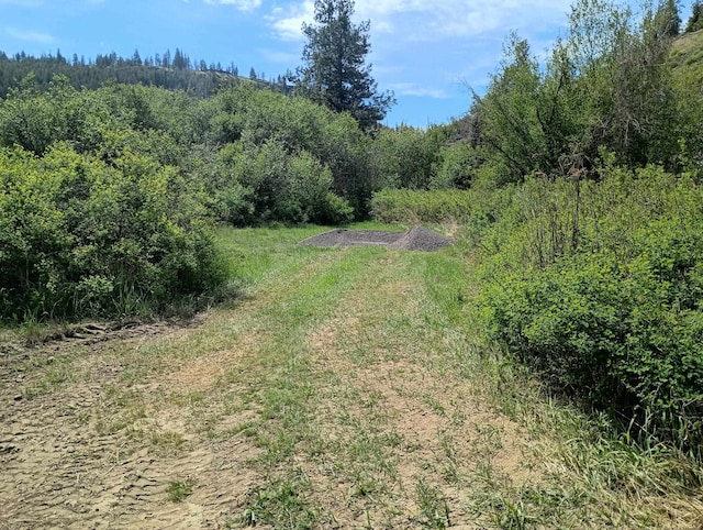 TRACT214 Hawk Creek Ranches Rd, Davenport, WA 99122