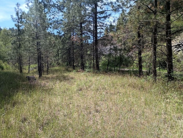 TRACT214 Hawk Creek Ranches Rd, Davenport, WA 99122