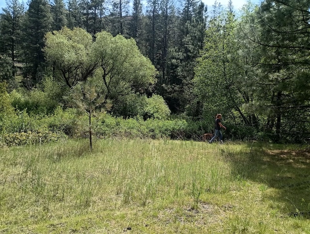 TRACT214 Hawk Creek Ranches Rd, Davenport, WA 99122