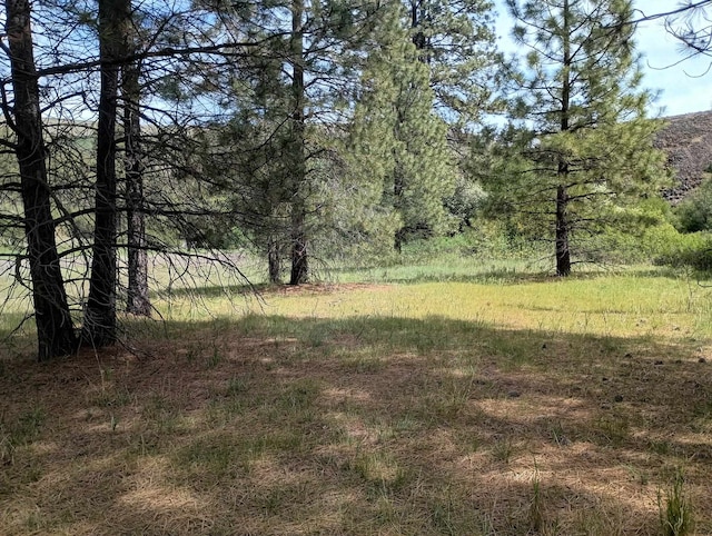 TRACT214 Hawk Creek Ranches Rd, Davenport, WA 99122