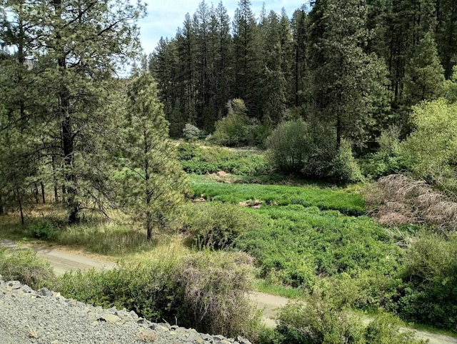 TRACT214 Hawk Creek Ranches Rd, Davenport, WA 99122