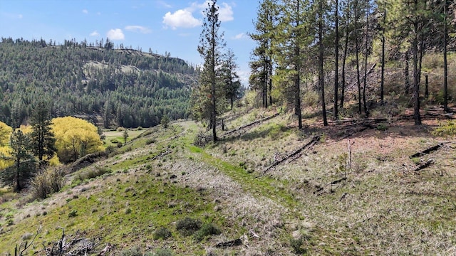 TRACT214 Hawk Creek Ranches Rd, Davenport, WA 99122