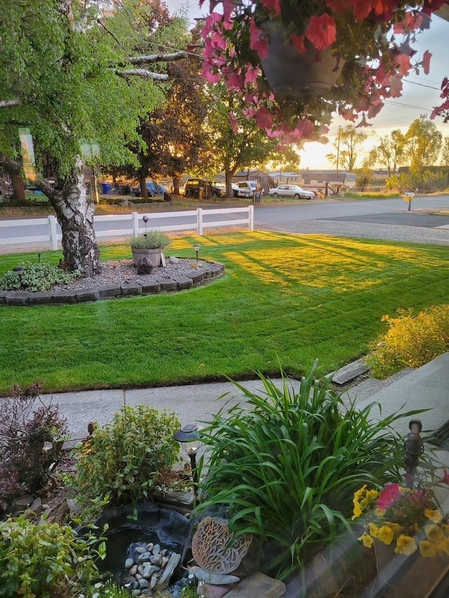 view of community featuring a yard