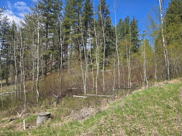 3434G Rockcut Rd, Kettle Falls, WA 99141 - view of nature