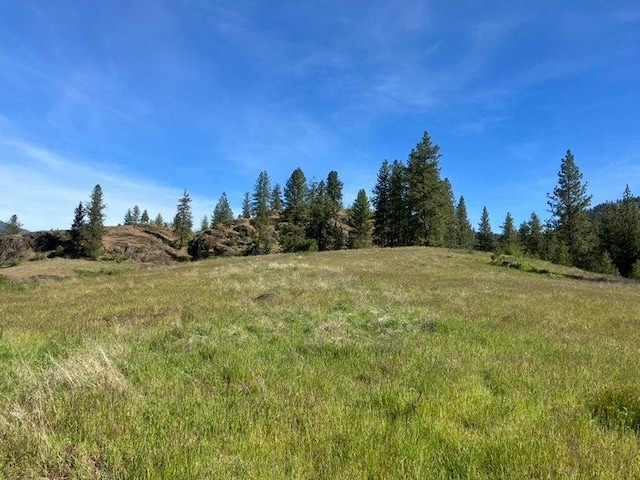 3434G Rockcut Rd, Kettle Falls, WA 99141 - view of local wilderness featuring rural landscape