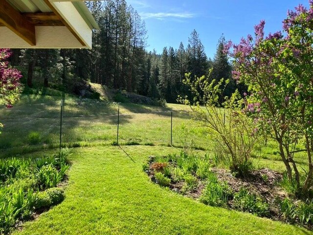 3434G Rockcut Rd, Kettle Falls, WA 99141 - view of yard