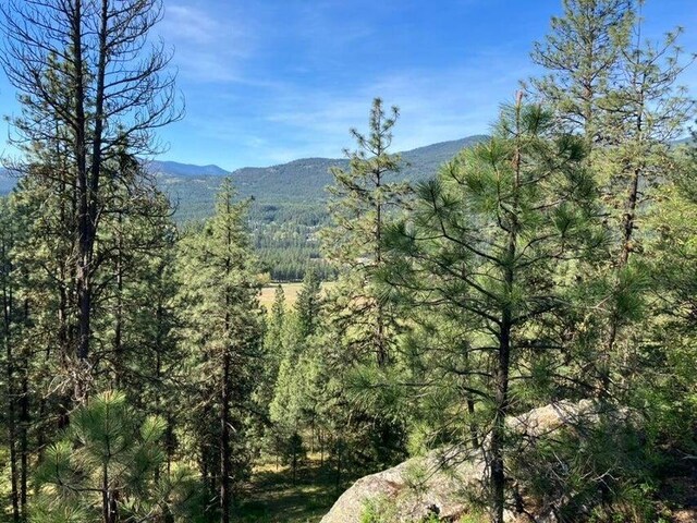 3434G Rockcut Rd, Kettle Falls, WA 99141 - mountain view featuring a heavily wooded area