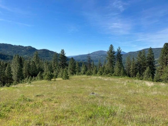 3434G Rockcut Rd, Kettle Falls, WA 99141 - mountain view with a forest