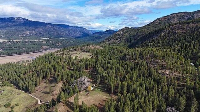 3434G Rockcut Rd, Kettle Falls, WA 99141 - mountain view featuring a heavily wooded area