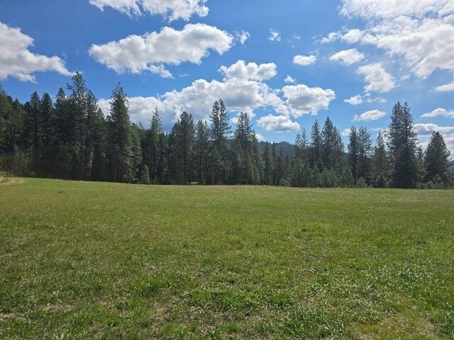 3434G Rockcut Rd, Kettle Falls, WA 99141 - view of tree filled area