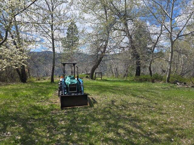 3434G Rockcut Rd, Kettle Falls, WA 99141 - view of yard