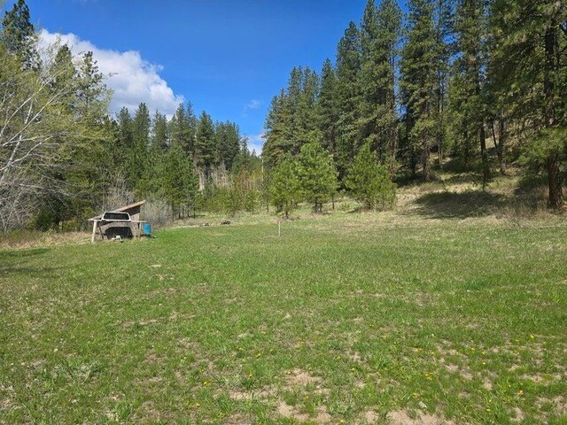 3434G Rockcut Rd, Kettle Falls, WA 99141 - view of grassy yard