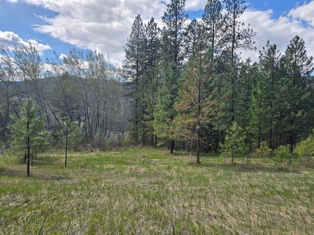 3434G Rockcut Rd, Kettle Falls, WA 99141 - view of woods