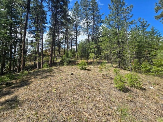 3434G Rockcut Rd, Kettle Falls, WA 99141 - view of local wilderness