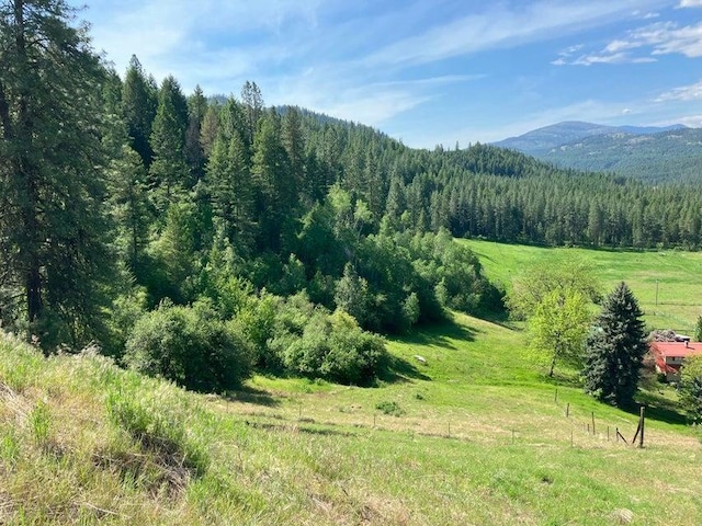 3434G Rockcut Rd, Kettle Falls, WA 99141 - mountain view with a heavily wooded area