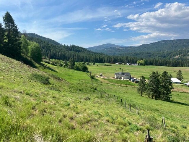 3434G Rockcut Rd, Kettle Falls, WA 99141 - view of mountain backdrop featuring rural landscape and a heavily wooded area