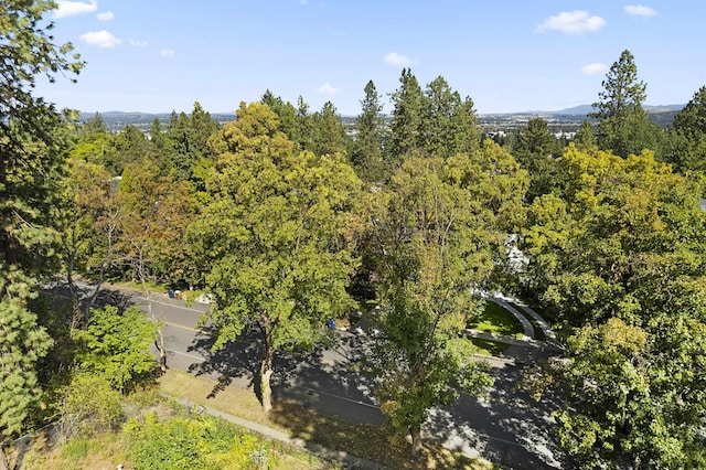 540 E Rockwood Blvd, Spokane, WA 99202 - aerial view featuring a view of trees