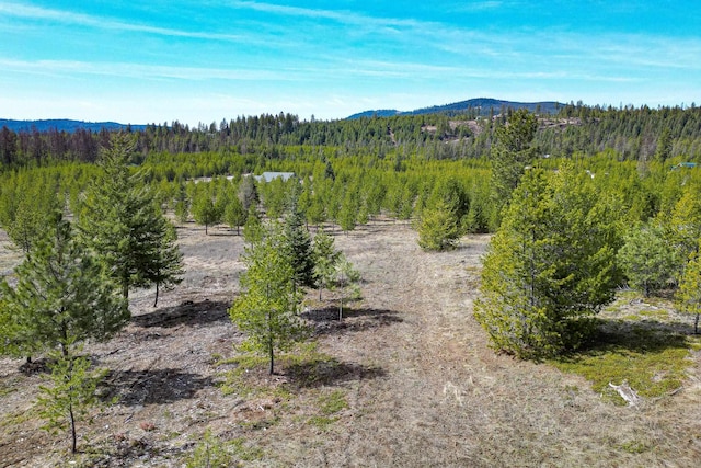 722 Panorama Dr, Newport, WA 99156
