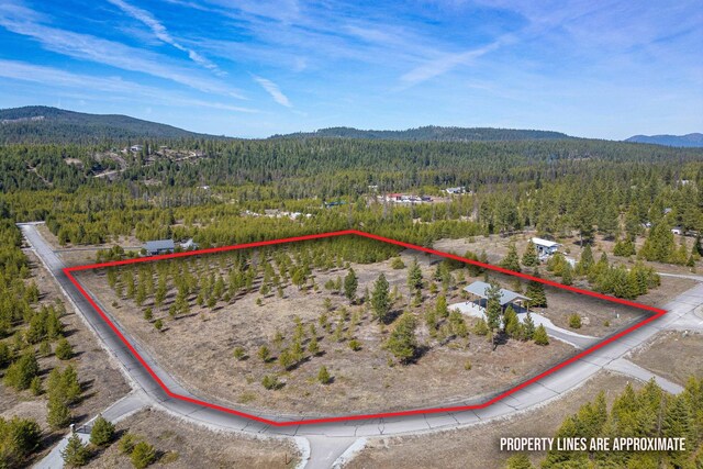 722 Panorama Dr, Newport, WA 99156