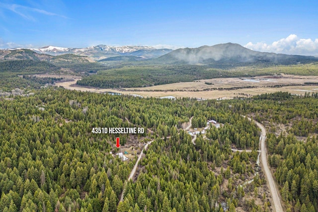 4351D Hesseltine Rd, Valley, WA 99181 - photo 25