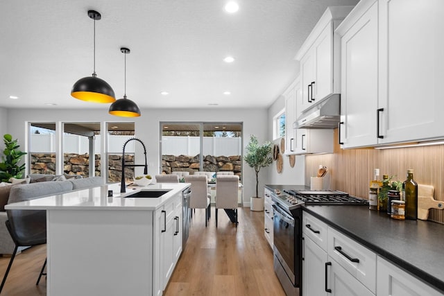 13310 N Starling Ln, Spokane, WA 99208 - kitchen with light wood-type flooring, appliances with stainless steel finishes, under cabinet range hood, a sink, and open floor plan