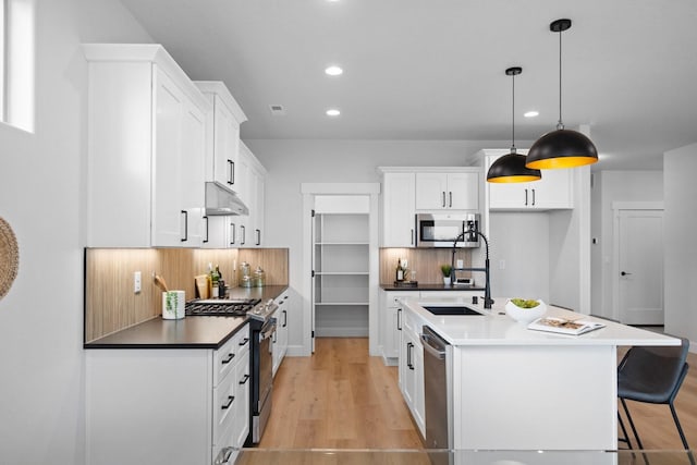 13310 N Starling Ln, Spokane, WA 99208 - kitchen with a sink, under cabinet range hood, stainless steel appliances, backsplash, and light wood-style flooring